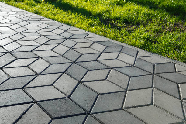 Best Local Driveway Pavers  in Hohenwald, TN