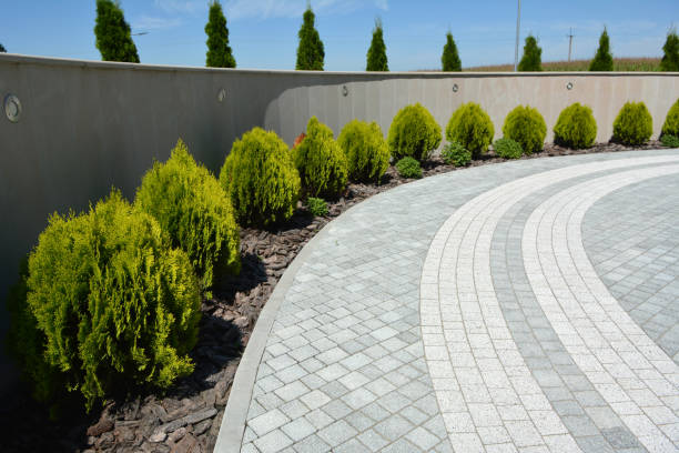 Best Affordable Driveway Paving  in Hohenwald, TN